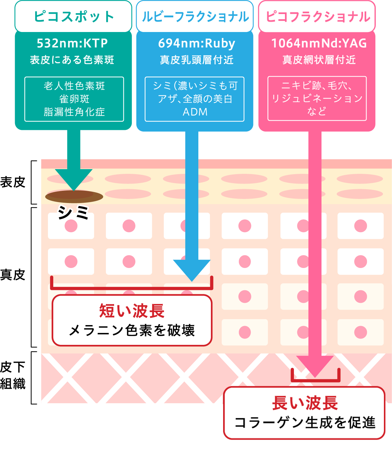 ディスカバリーピコプラス