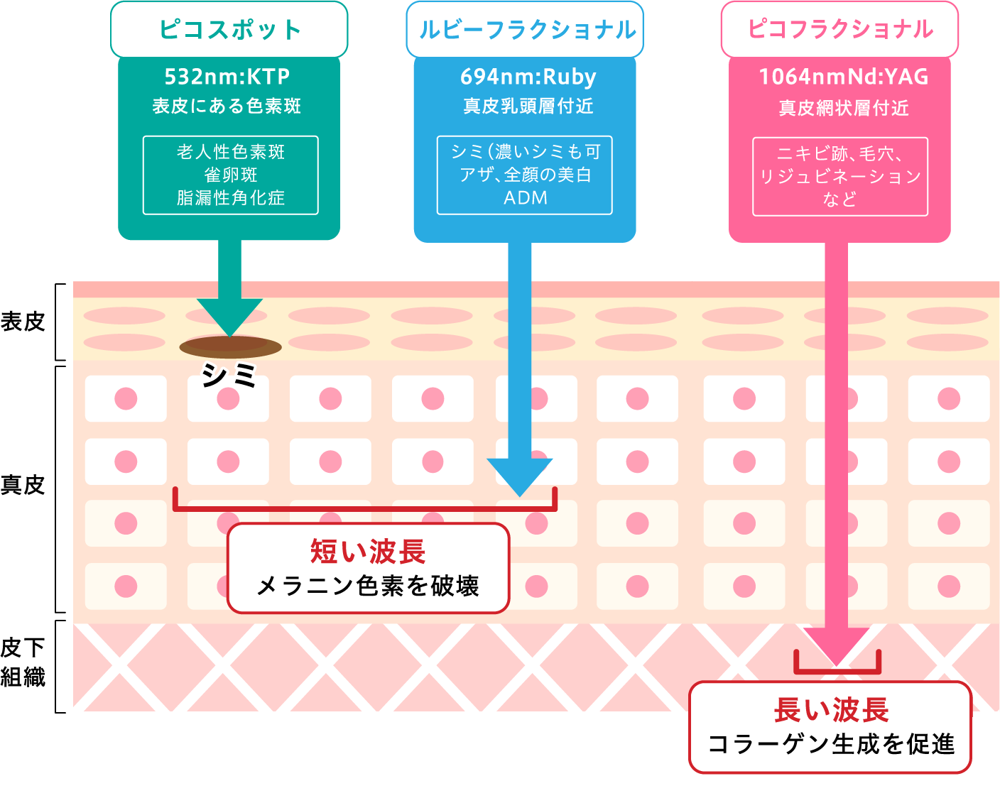 ディスカバリーピコプラス